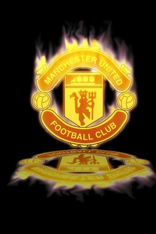 或其它新兴 或其它新兴